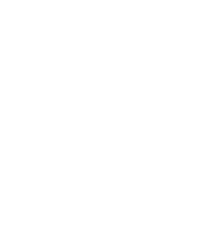 StateLineRolePlay